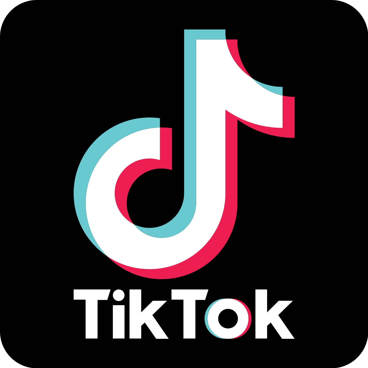 Akun TikTok Vietnam Aged 2+ Bulan | Ada Follower & Aktivitas | Siap Pakai